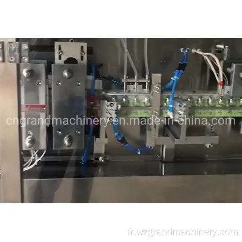 Machine d&#39;étanchéité de remplissage de liquide d&#39;huile d&#39;olive GGS-240